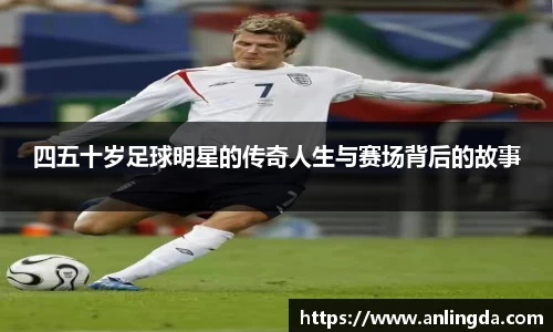 新葡萄8883官网amg